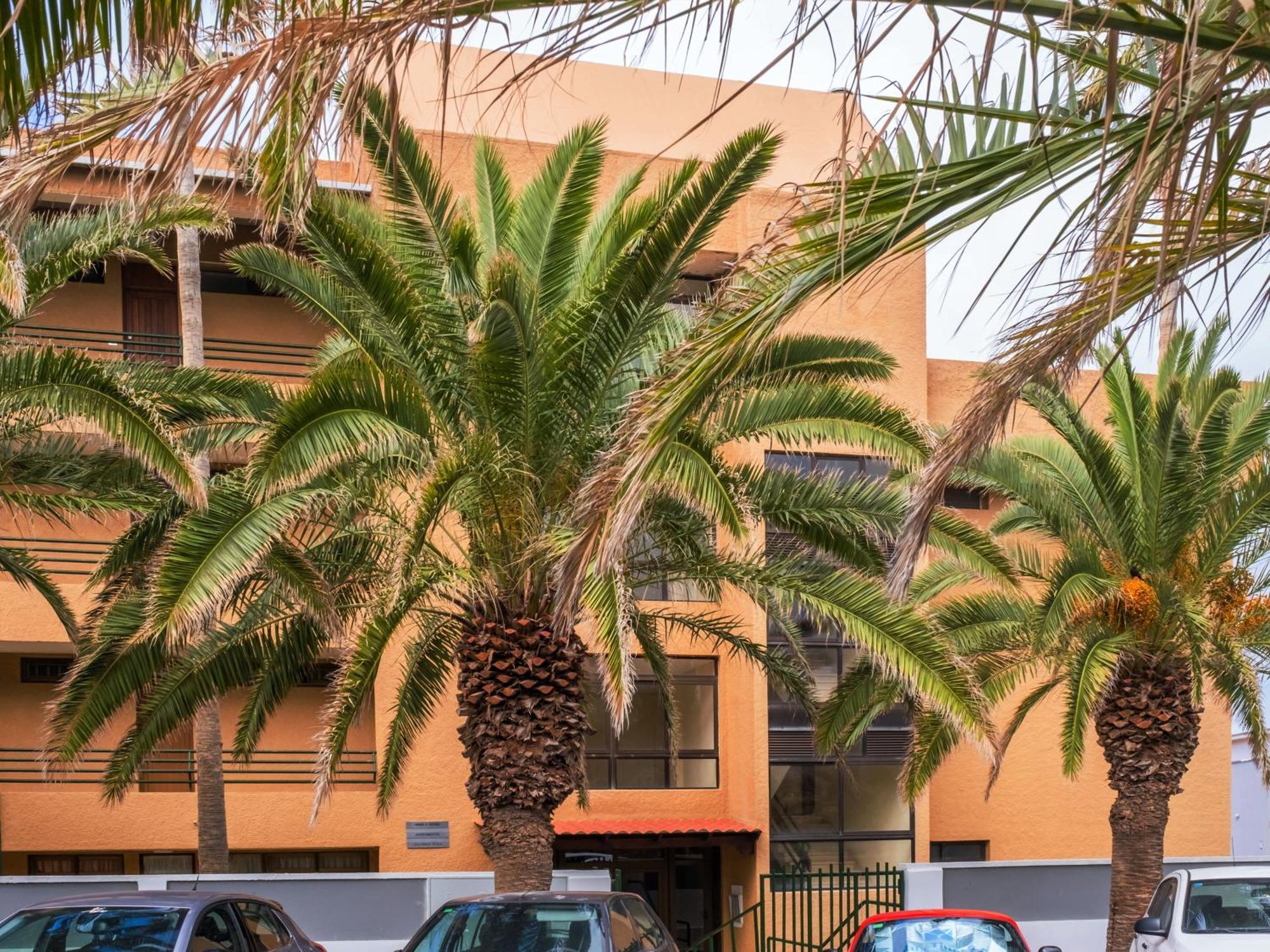 Live Punta Columbus Pool & Beach Front Punta Del Hidalgo Bagian luar foto